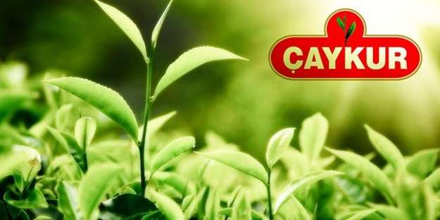 &Ccedil;AYKUR 2. s&uuml;rg&uuml;n &ccedil;ay alımları ile ilgili &uuml;reticileri uyardı