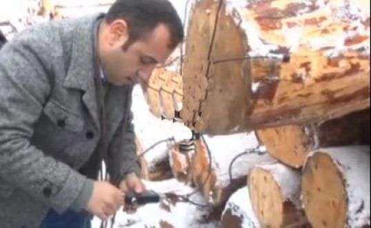 Ağaçlar için 'Check-Up' cihazı  