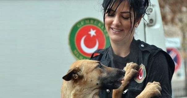 Bu köpekler kaçakçılığa geçit vermiyor