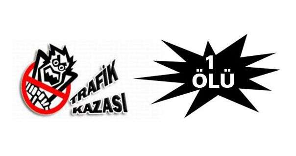 Hopa'da Trafik Kazası: 1 Ölü, 1 Yaralı