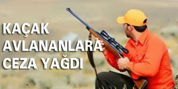 Kaçak avcılara ceza yağdı