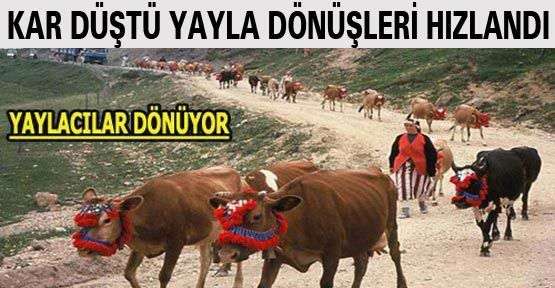 Kar Düştü, Yayla Dönüşleri Hızlandı