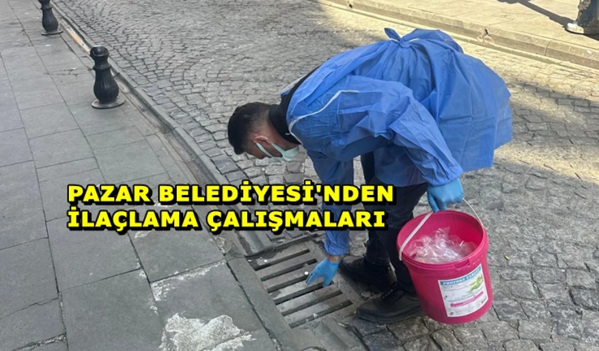 Pazar Belediyesi&rsquo;nden Haşerelere Karşı M&uuml;cadele