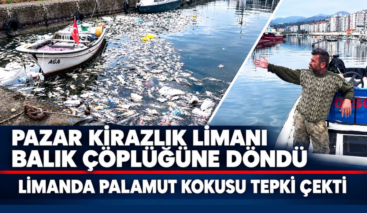 Pazar Kirazlık Limanı Balık &Ccedil;&ouml;pl&uuml;ğ&uuml;ne D&ouml;nd&uuml;