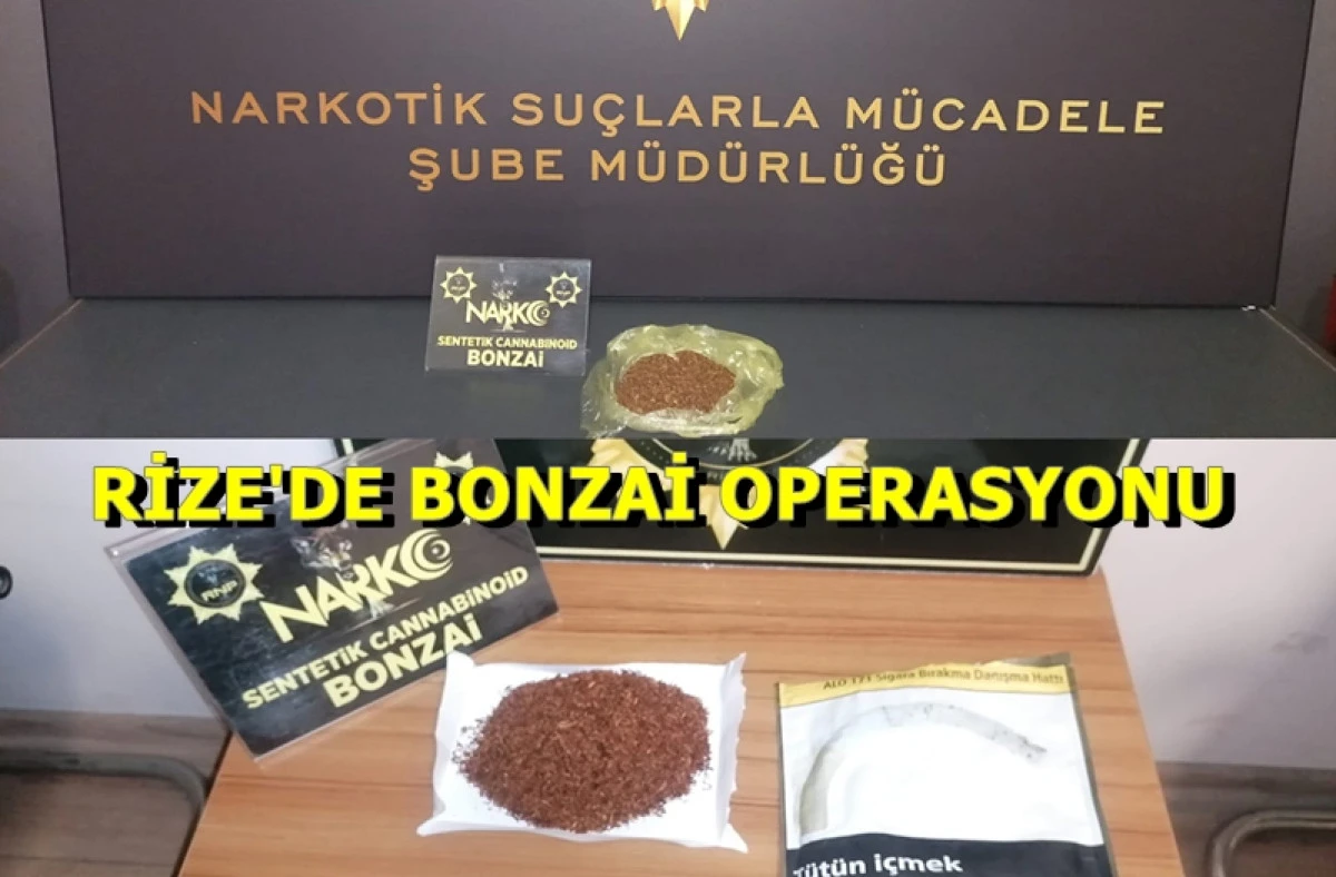 Rize'de Bonzai Operasyonu 5 Tutuklama