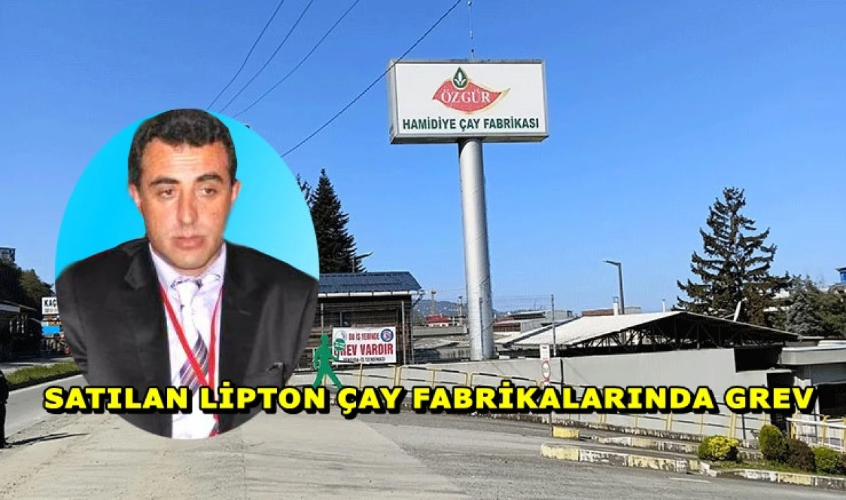 Satılan Lipton işletmelerinde Pazar ve Fındıklı'da grev!